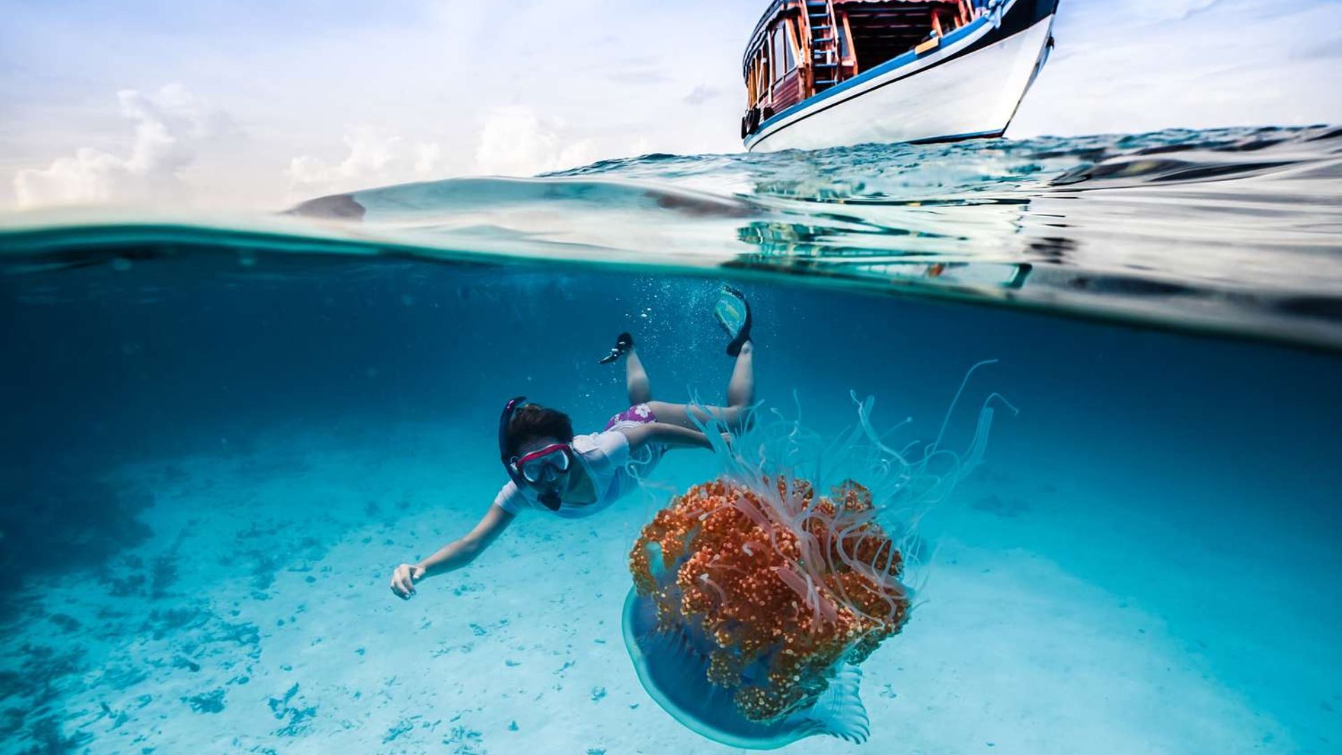 Snorkeling and Scuba Diving Snorkeling and Scuba Diving